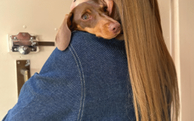 Cómo cuidar de tu cachorro según su raza