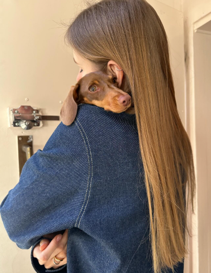 Cómo cuidar de tu cachorro según su raza